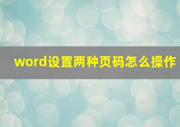 word设置两种页码怎么操作