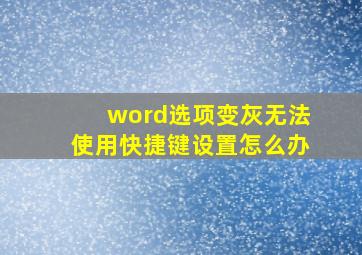 word选项变灰无法使用快捷键设置怎么办