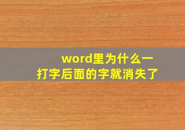 word里为什么一打字后面的字就消失了