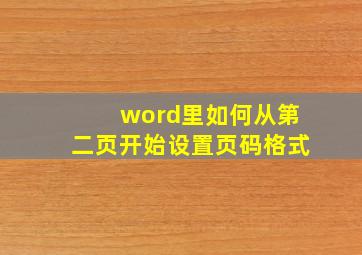 word里如何从第二页开始设置页码格式