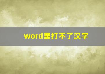 word里打不了汉字