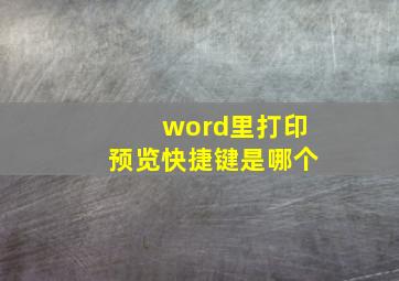 word里打印预览快捷键是哪个