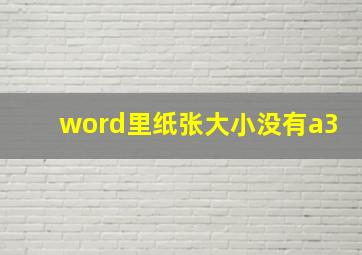 word里纸张大小没有a3