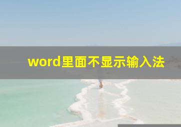 word里面不显示输入法