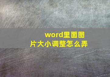 word里面图片大小调整怎么弄