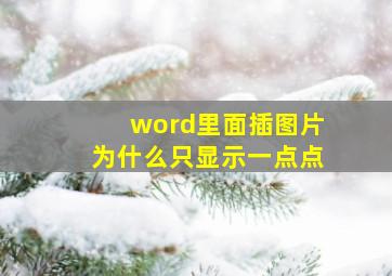 word里面插图片为什么只显示一点点