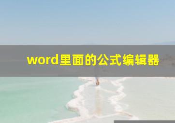 word里面的公式编辑器