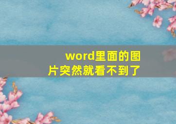 word里面的图片突然就看不到了