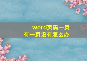 word页码一页有一页没有怎么办