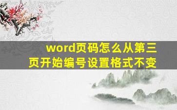 word页码怎么从第三页开始编号设置格式不变