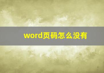 word页码怎么没有