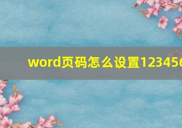 word页码怎么设置123456