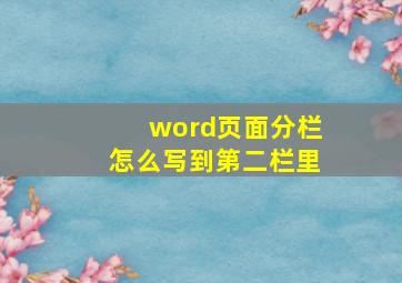 word页面分栏怎么写到第二栏里