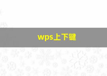 wps上下键