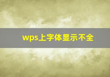 wps上字体显示不全