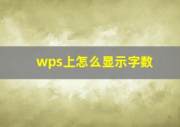 wps上怎么显示字数