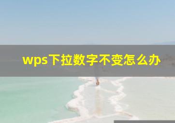 wps下拉数字不变怎么办