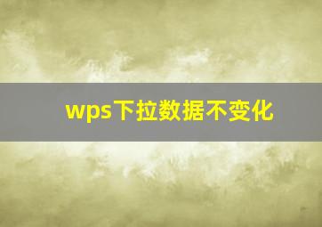 wps下拉数据不变化