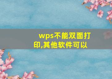 wps不能双面打印,其他软件可以