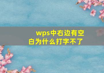 wps中右边有空白为什么打字不了