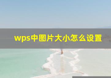 wps中图片大小怎么设置