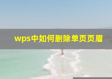 wps中如何删除单页页眉