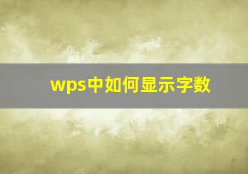 wps中如何显示字数