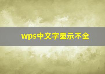 wps中文字显示不全