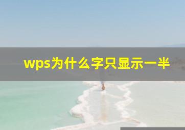 wps为什么字只显示一半