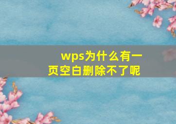 wps为什么有一页空白删除不了呢