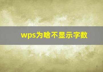 wps为啥不显示字数