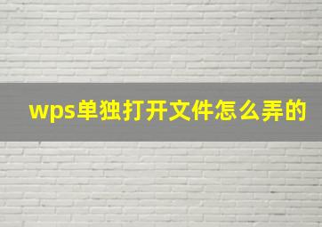 wps单独打开文件怎么弄的