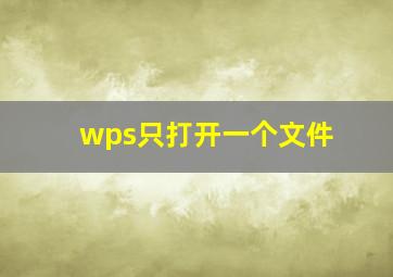 wps只打开一个文件