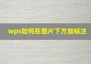 wps如何在图片下方加标注