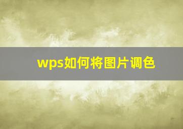 wps如何将图片调色