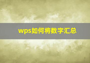 wps如何将数字汇总