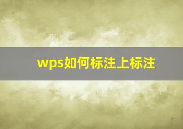 wps如何标注上标注