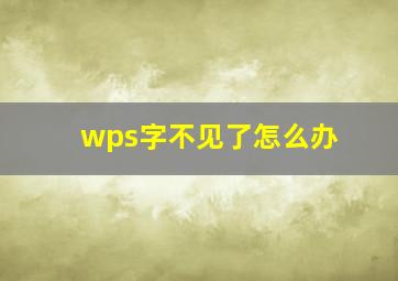 wps字不见了怎么办