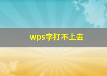 wps字打不上去