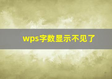 wps字数显示不见了