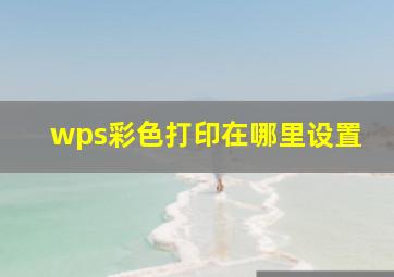 wps彩色打印在哪里设置