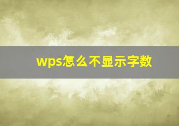 wps怎么不显示字数