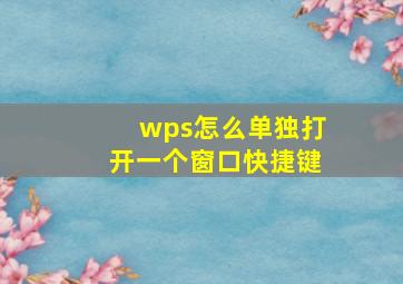 wps怎么单独打开一个窗口快捷键