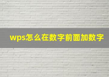 wps怎么在数字前面加数字