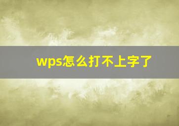 wps怎么打不上字了