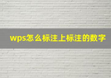 wps怎么标注上标注的数字