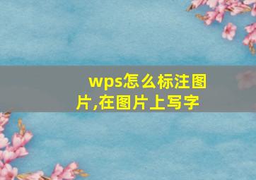 wps怎么标注图片,在图片上写字