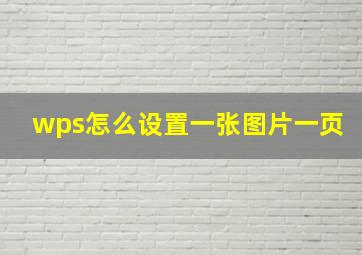 wps怎么设置一张图片一页