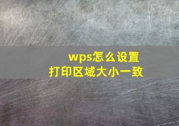 wps怎么设置打印区域大小一致