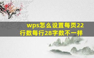 wps怎么设置每页22行数每行28字数不一样